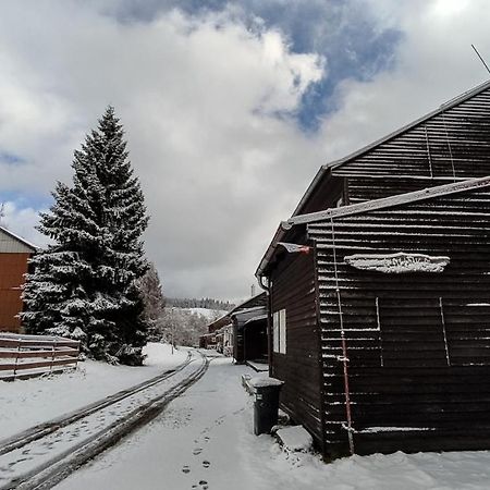 Penzion Apartmany Aninka Mariánská Eksteriør bilde